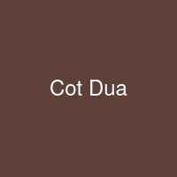 Cà Phê Cốt Dừa