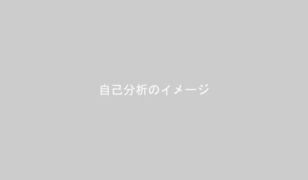 自己分析の各要素を図解した画像