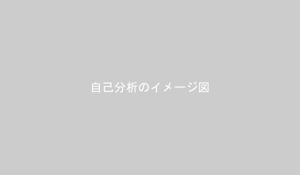 自己分析のイメージ図