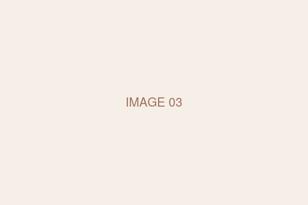 IMAGE 03