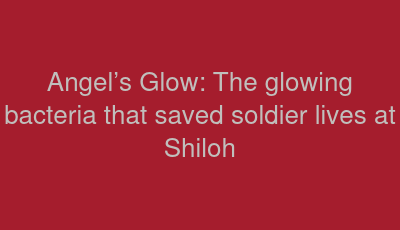 Angel’s Glow: The glowing bacteria that saved soldier lives at Shiloh