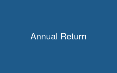 Annual Return