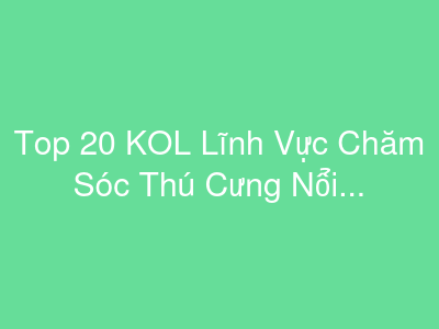 Top 20 KOL Lĩnh Vực Chăm Sóc Thú Cưng Nổi Bật Tại Việt Nam