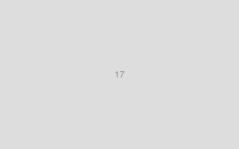 【差し替え】17 外観（黒い外壁・植栽・青空）