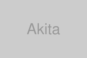 秋田店