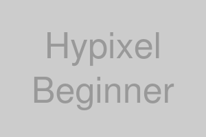 Hypixel初心者ガイドの画像
