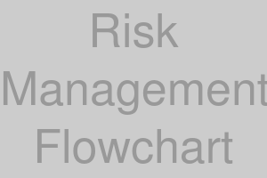 リスク管理フローチャート