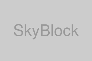 SkyBlock攻略ガイドの画像