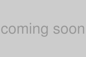 クリスマスミニBOX