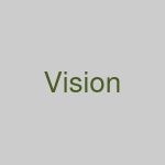 Our Vision