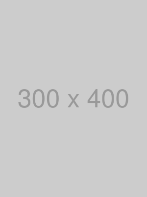 300 by 400 size photo