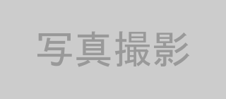 プロフェッショナル写真撮影