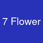 7 Flower