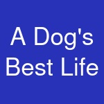 A Dog's Best Life