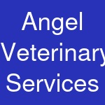 Angel Veterinary Services