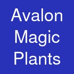 Avalon Magic Plants