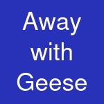 Away with Geese