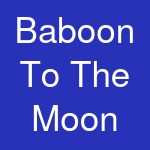 Baboon To The Moon