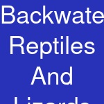 Backwater Reptiles And Lizards