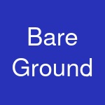 Bare Ground