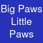 Big Paws Little Paws