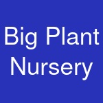 Big Plant Nursery