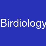 Birdiology