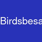 Birdsbesafe