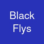 Black Flys