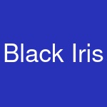 Black Iris