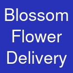 Blossom Flower Delivery