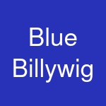 Blue Billywig