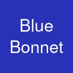 Blue Bonnet