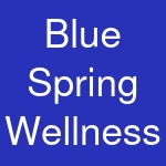 Blue Spring Wellness