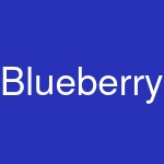 BlueberryBrands