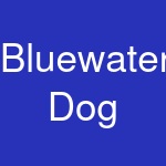 Bluewater Dog