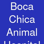 Boca Chica Animal Hospital & Pet Resort