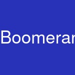 BoomeranGo