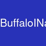 BuffaloINaBox