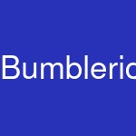 Bumbleride