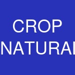 CROP NATURAL