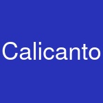 Calicanto