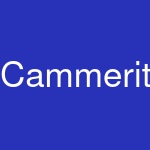 Cammerity