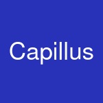 Capillus