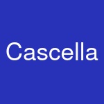 Cascella & Sons Construction