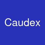 Caudex