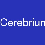 Cerebrium