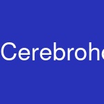 Cerebrohq