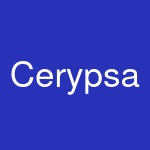 Cerypsa