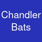 Chandler Bats